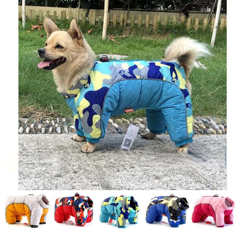 ロイヤルカナン 柴犬成犬用 8kgX 2個セット