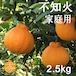 送料無料 天デコ 不知火 肥の豊（デコポン）家庭用2.5kg M〜2L 熊本県産 冬のギフト