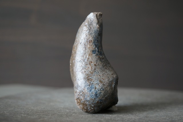 古代クジラ耳骨　Whale Otolith　1480