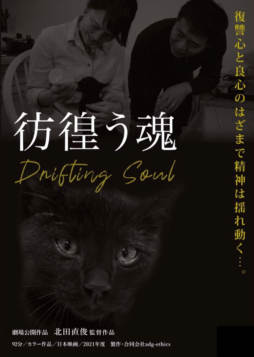 映画 彷徨う魂 [DVD] | asiandogs