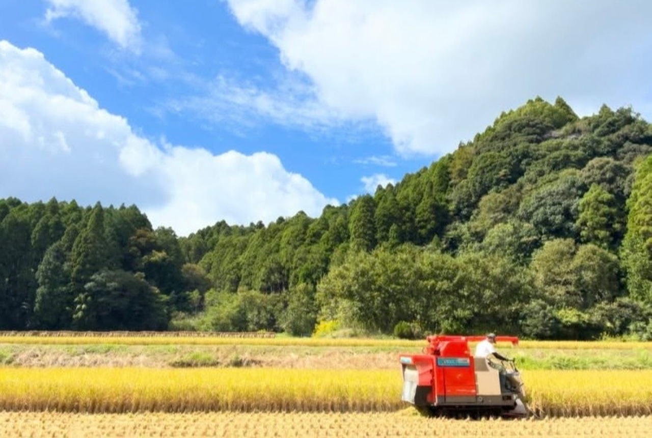 ノノタビNONOTABI 令和8年産 新米 5分付 5キロ