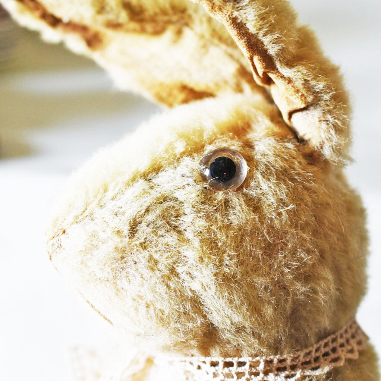 b437b43a32126405dd352b8fe6017f