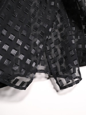 square panel pattern over silhouette sheer shirt