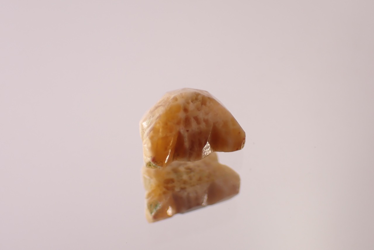 フォッシルコーラル(猫カット)　1.56ct　[D11‐571]