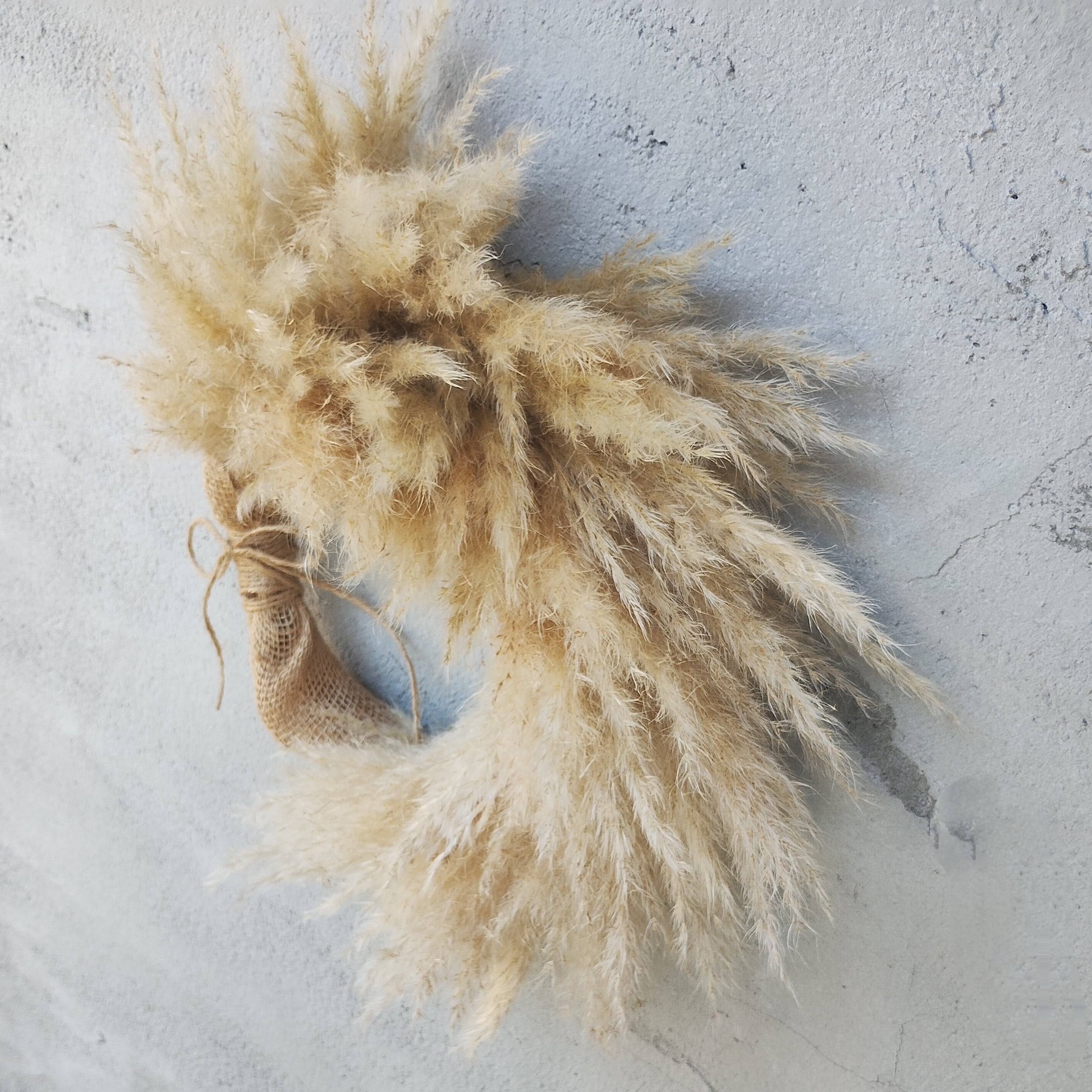 パンパスグラス/ハーフリース【受注制作アイテム】雄株 リース ドライ