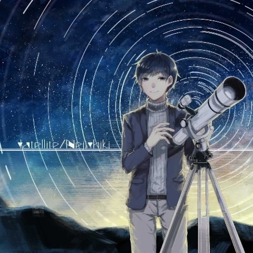 satellite / self-cover album