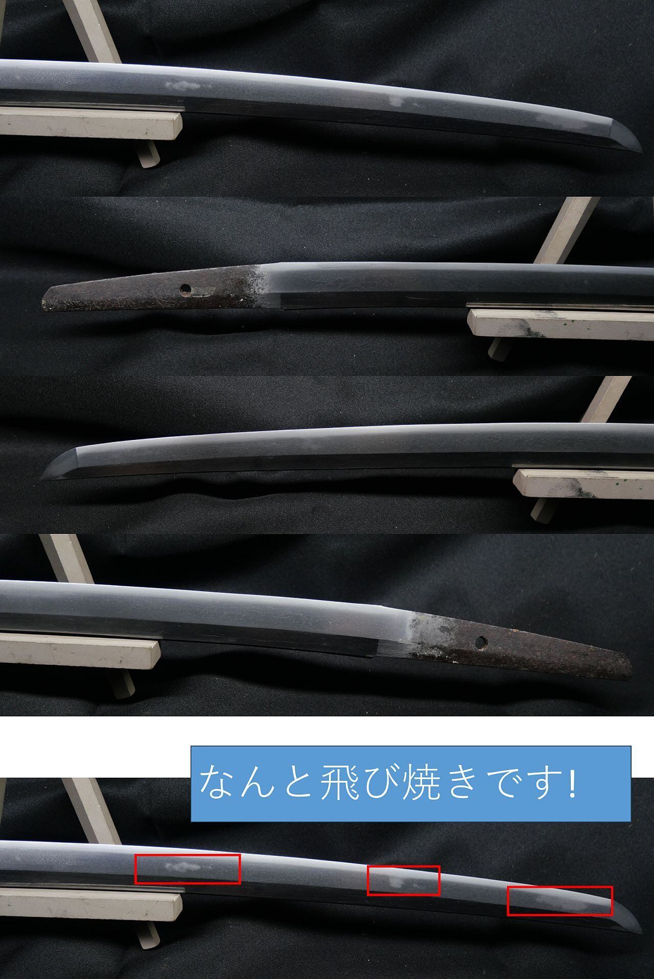 新刀】飛焼のある美しい脇差 駿州住兼貞 52.1cm 約480g 元幅約2.7cm 元