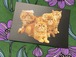 イタリア製　ポストカード　４匹の猫　猫雑貨　猫柄　輸入