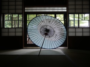 笹の日傘　bamboo parasol