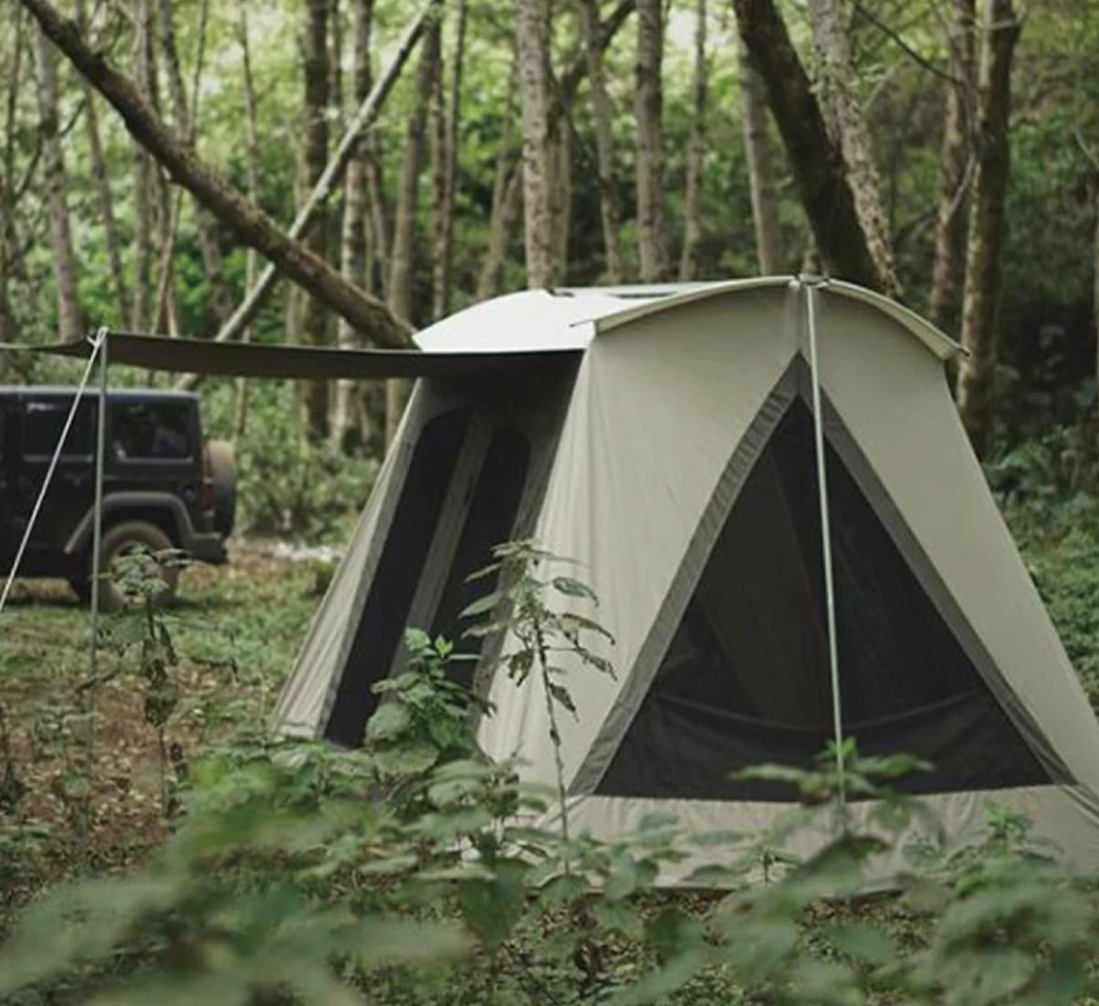 【新品・送料無料】グランデ  テント　コットン 素材　直径5m　8人就寝用 新品・送料無料】グランデ テント コットン 素材 直径5m 8人就寝用