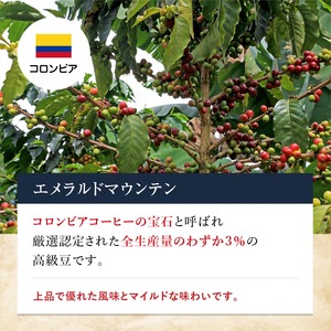 【レギュラーコーヒーセット ARC-50 】ブレンド&スペシャリティ100g×3点 青海珈琲 ギフト