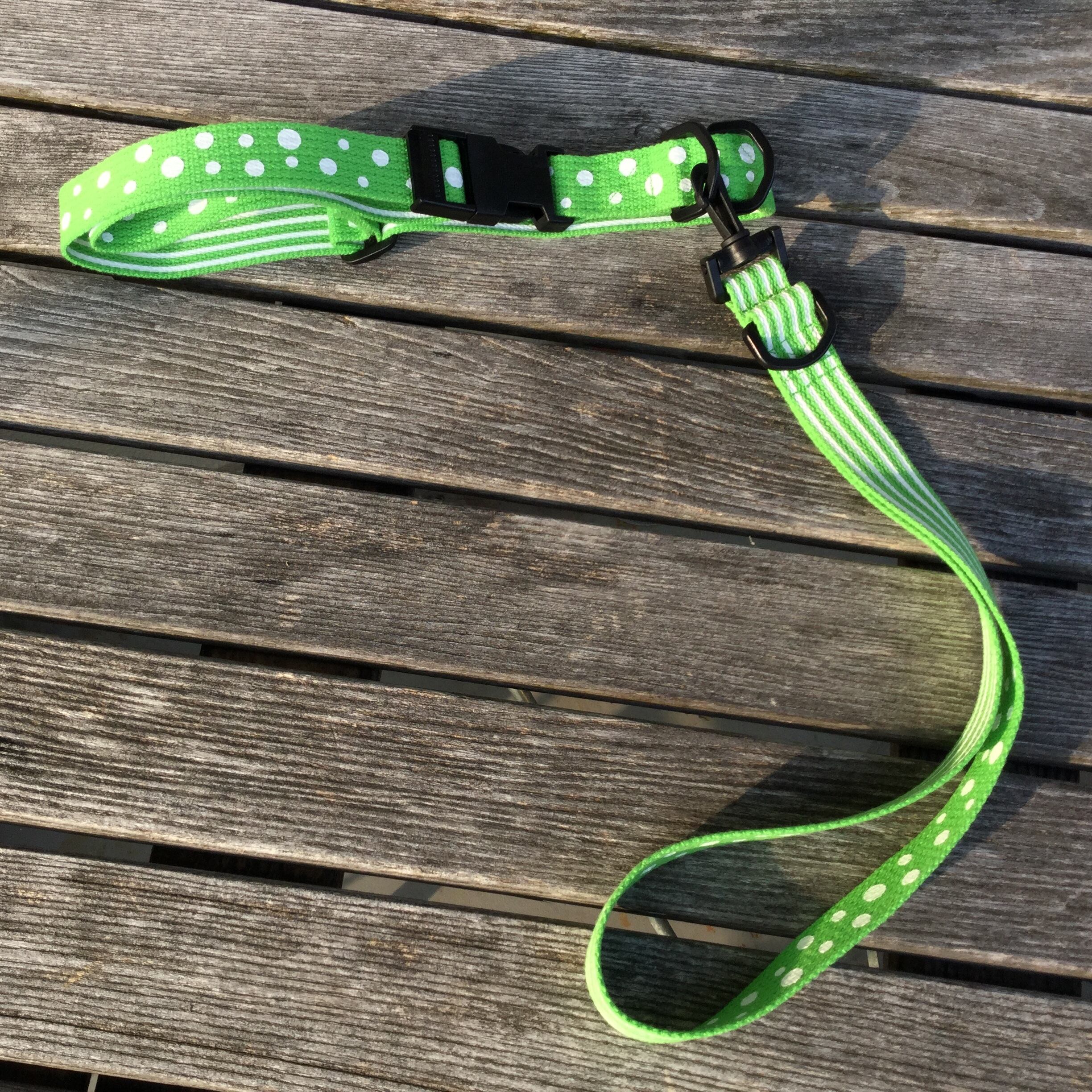 首輪とショートリード グリーン水玉