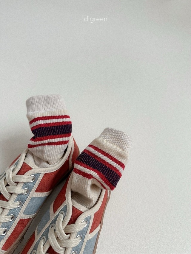 〘予約〙digreen / socks_ Authentic