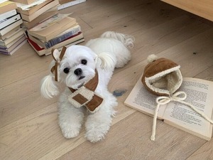 即納【papier】Chestnut hat