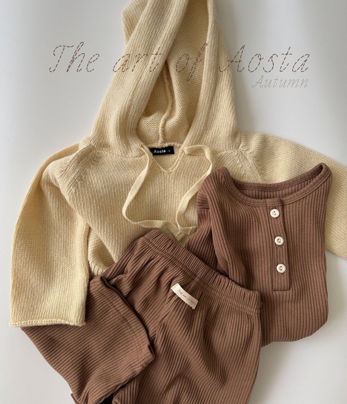 送料無料【予約】/ ニットクッキーフード / aosta