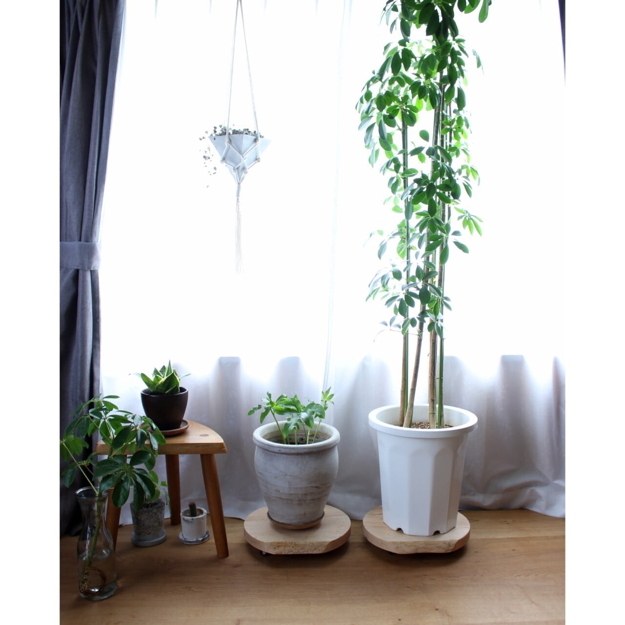 木製 花台｜キャスター付き | plus den furniture.