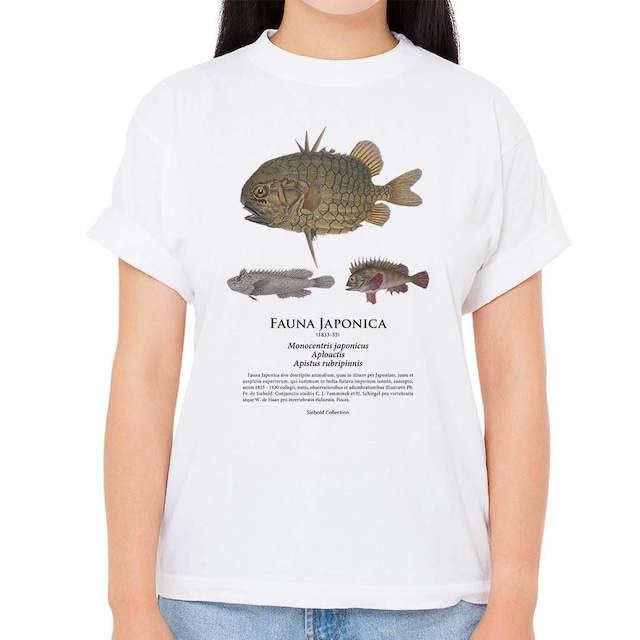 【マツカサウオ・ハオコゼ・イボオコゼ】シーボルトコレクション魚譜Tシャツ（高解像・昇華プリント）