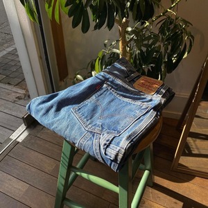 Levi’s 550 ペインター