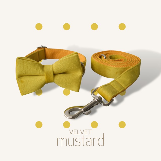 【ベロアシリーズ】マスタード迷子札刻印サービス・犬用首輪＆リボン