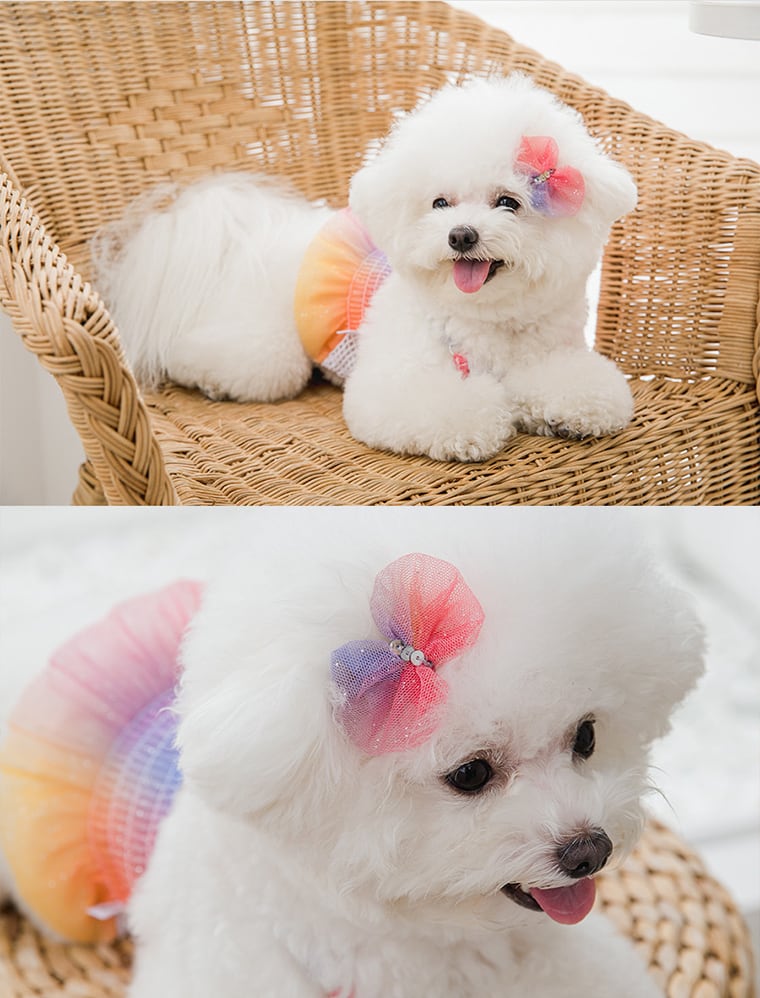 ハロー ヘアピン 2TYPE / ペット アクセサリー 犬 ヘアピン 可愛い 犬の服 ドッグウェア 猫 小型犬 中型犬