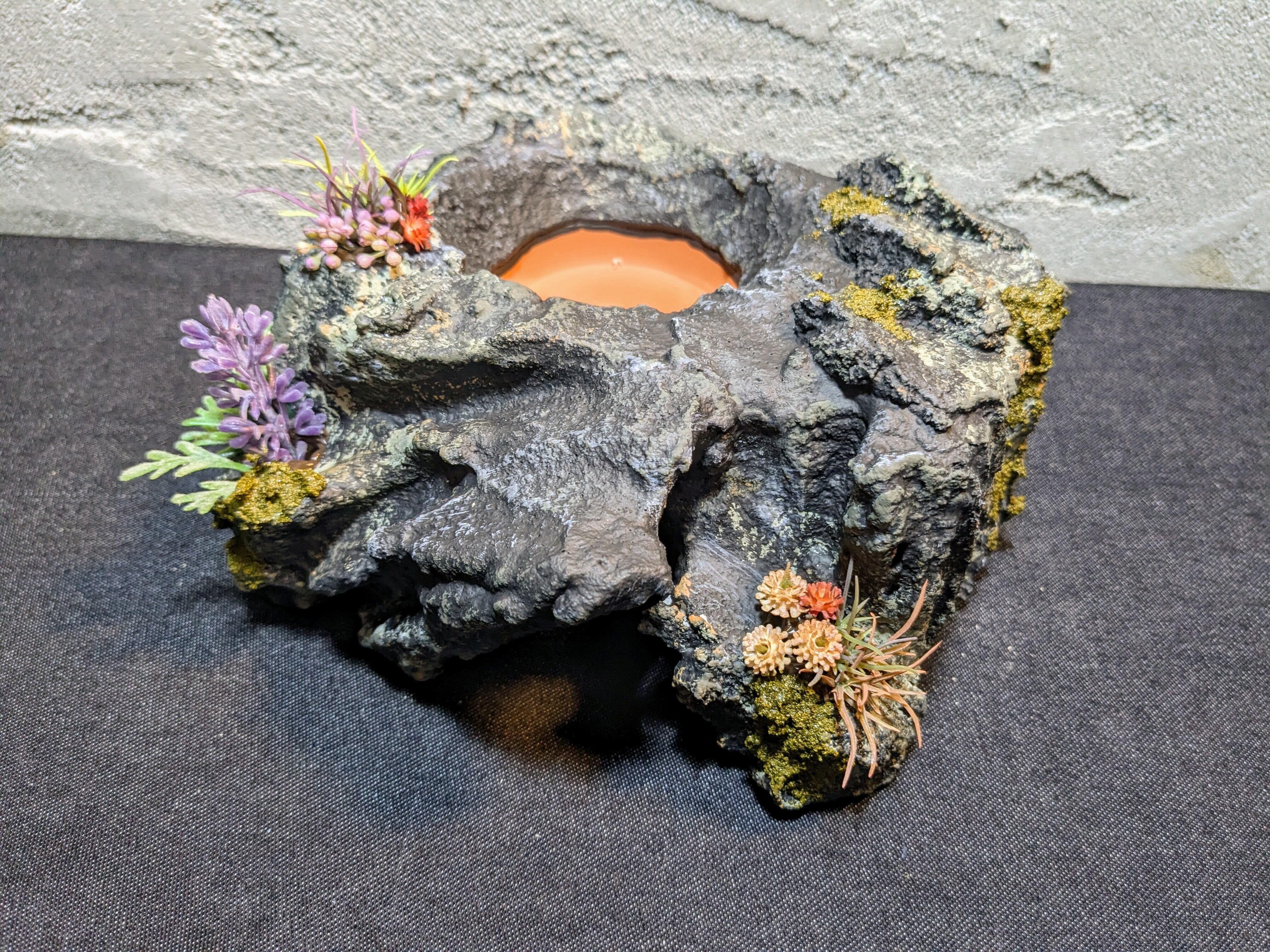 慧 Kei】オリジナル ウェットシェルター（ブラック） | 爬虫類用造形