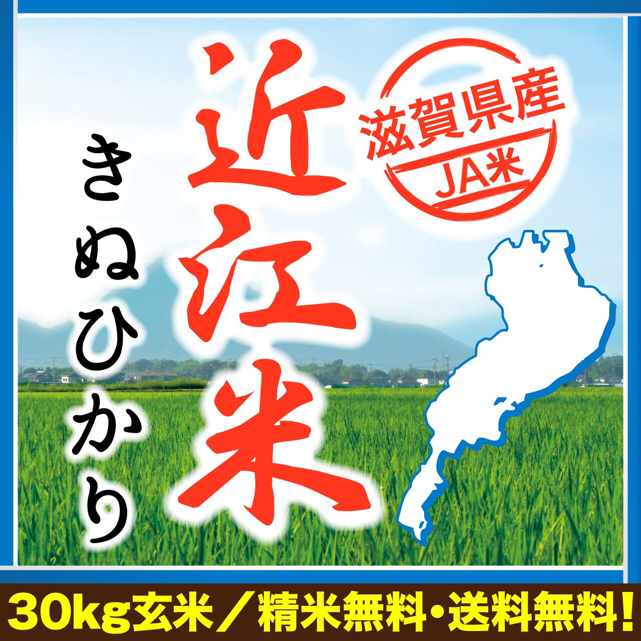 自家栽培・直送-　滋賀県産【近江米】キヌヒカリ　令和５年産　新米　玄米３０kg