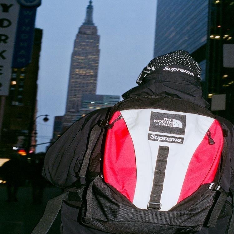 Supreme THE NORTH FACE Expedition Backpack AW 18 WEEK 15ノース