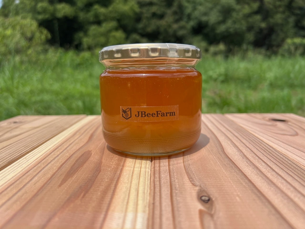 ①ニホンミツバチ　日本蜜蜂　生ハチミツ　1120g 日本蜜蜂のハチミツ100％！はちみつ（1本） 高級 自然食品 無