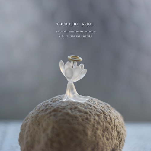 サキュ天使（baby) relax