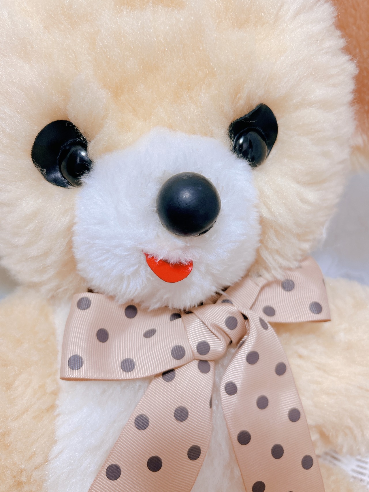 vintage  animalの画像03