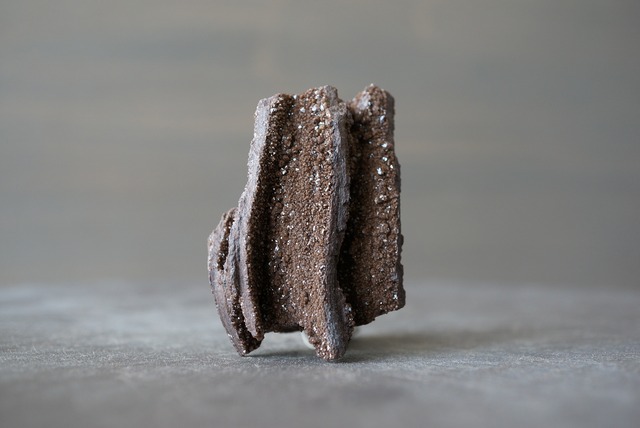 ドイツ産珪化木/クォーツ　Petrified Wood / Quartz　898