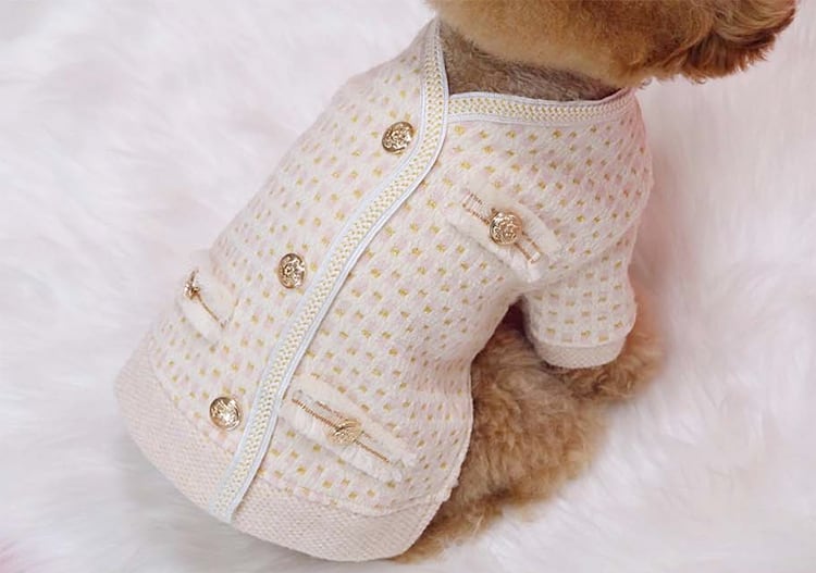 【SALE】cocoジャケット S ~ XL 2color  /  犬服 秋冬 新作 ツイードジャケット アウター 可愛い 犬の服 ドッグウェア ワンちゃん 洋服 おしゃれ 小型犬 猫 お出かけ outer21