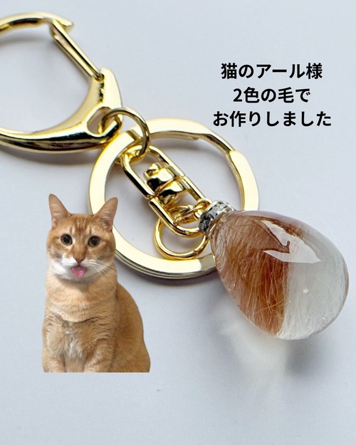 【うちの子ジュエリー】ペットの毛で作る世界に一つのアクセサリー　シンプルクリア　ネックレス　キーホルダー　バッグチャーム