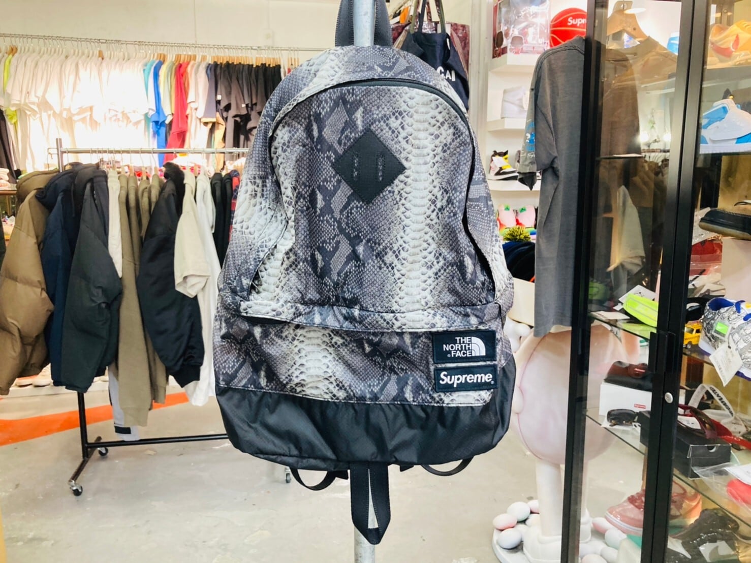 SUPREME × THE NORTH FACE Snakeskin Lightweight Day Back Pack 78443  