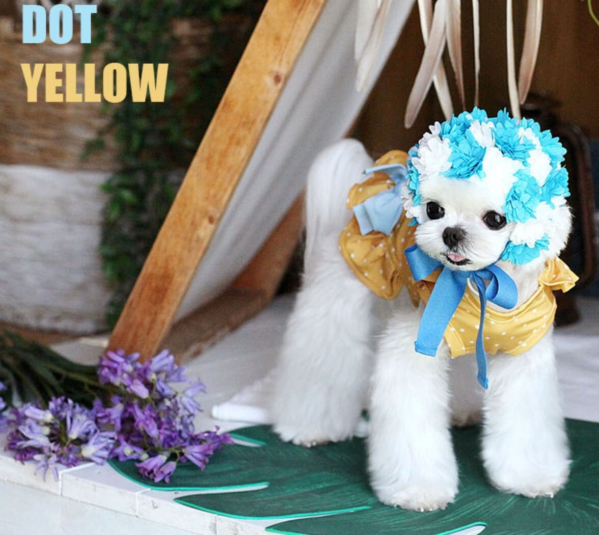 予約【HAPPYJJANGGU】Cross RushGuard《DotYellow》