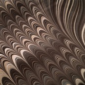 半巾帯 ［bitter chocolate］ピーコック柄×大矢羽