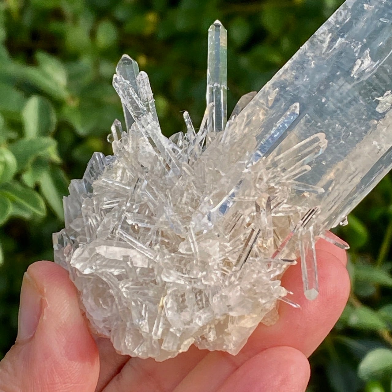 コロンビア産ブルースモークレムリアンクォーツクラスター Colombian