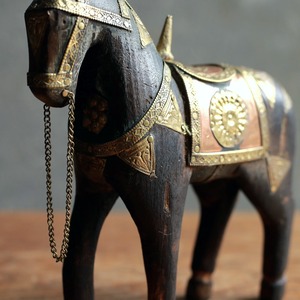 手放したくないほど美しい馬 20