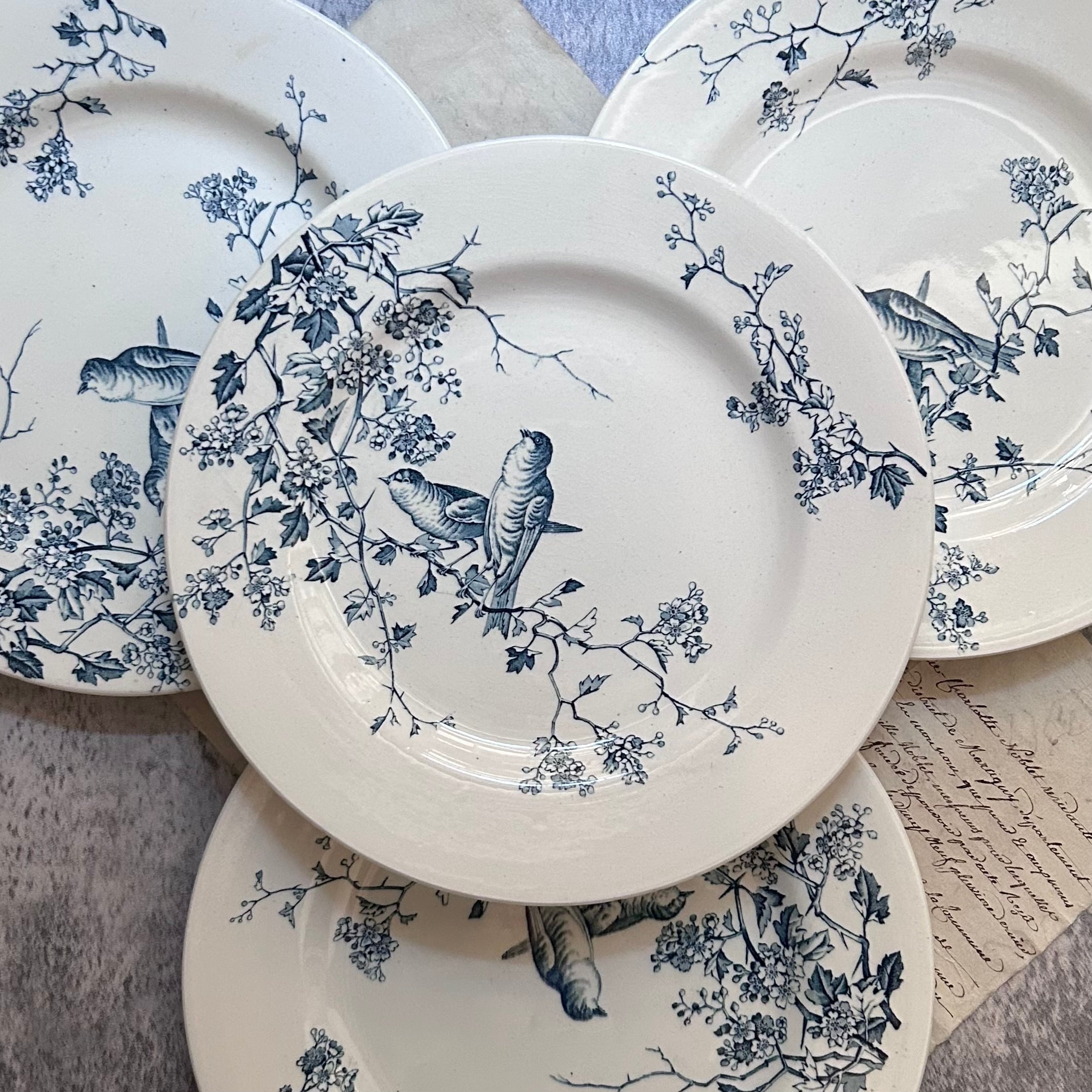 フランス アンティーク プレート Gien Aviary フランスアンティーク