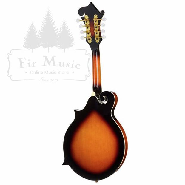 Fタイプ マンドリン PU付き ヨーロッパ製 Mandolin - Made in Europe