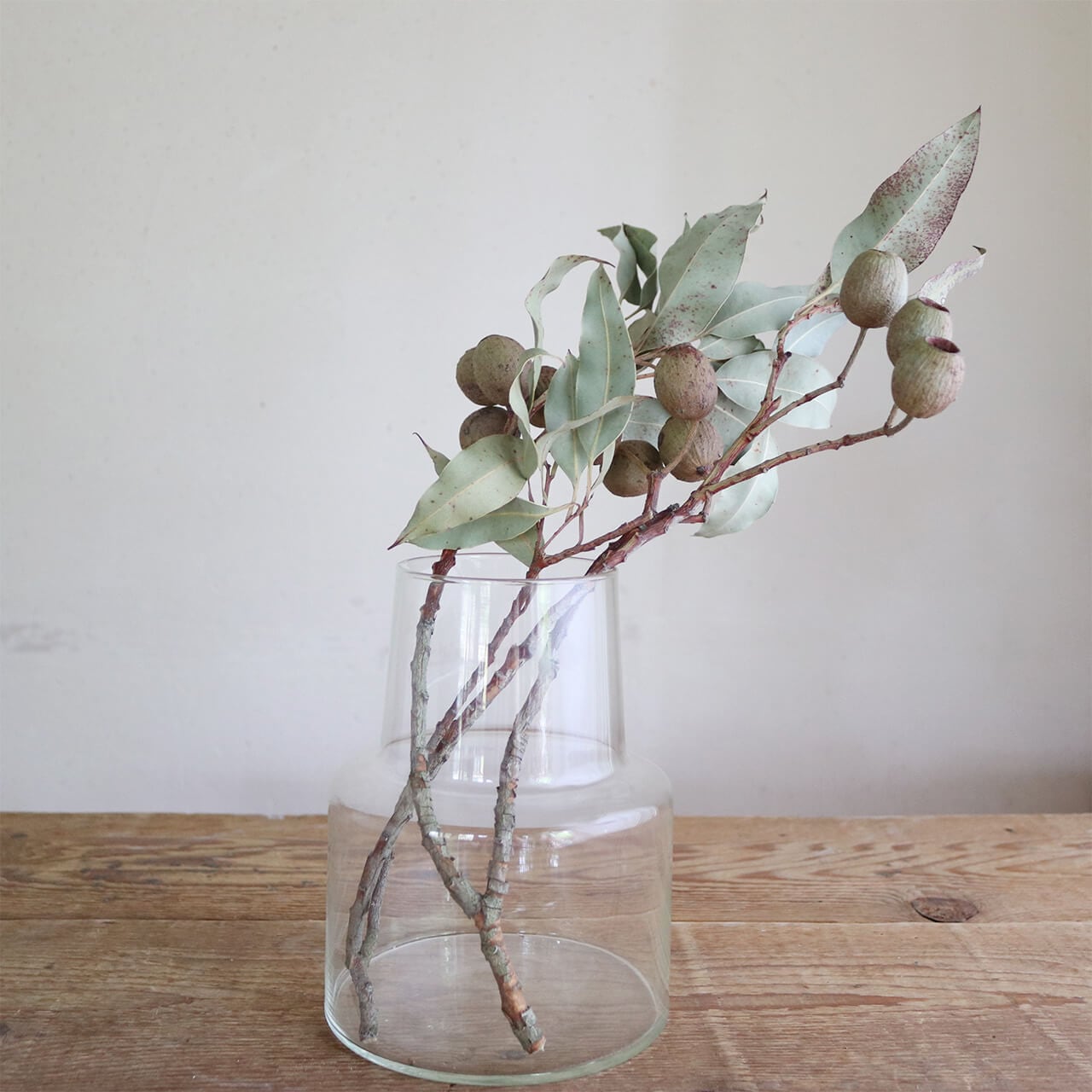 ❈ ユーカリ ❈ フレッシュ ❈ ドライ ❈ ユーカリ ベルギーフレッシュ 実付 / ドライフラワー ナチュラル