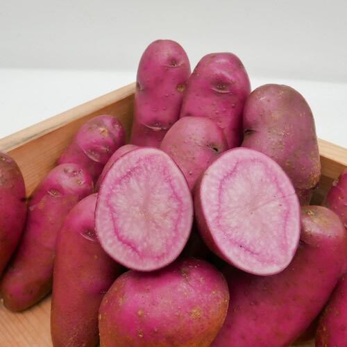 信州産•ノーザンルビー(約4kg)