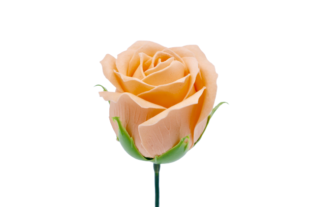 プリンセスバラS-O2 シャーベットオレンジ (15輪入りor25輪入り)