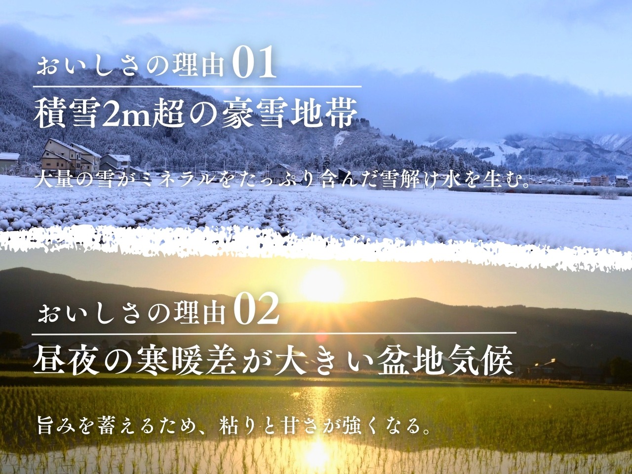 【日本で0.1%の希少米】南魚沼「旧塩沢産」限定 コシヒカリ 2kg 白米