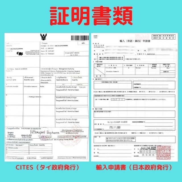 クロコダイル ミニ財布 コインケース 小銭入れ コンパクト ウォレット カード入れ ミニマリスト メンズ財布 ブラック プレゼント 誕生日 記念日 父の 日 Vallgo クロコダイル メンズ 財布
