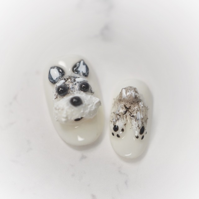 #659 親指 薬指、人差し指チップ／XY219 繰り返し使えるネイルチップ