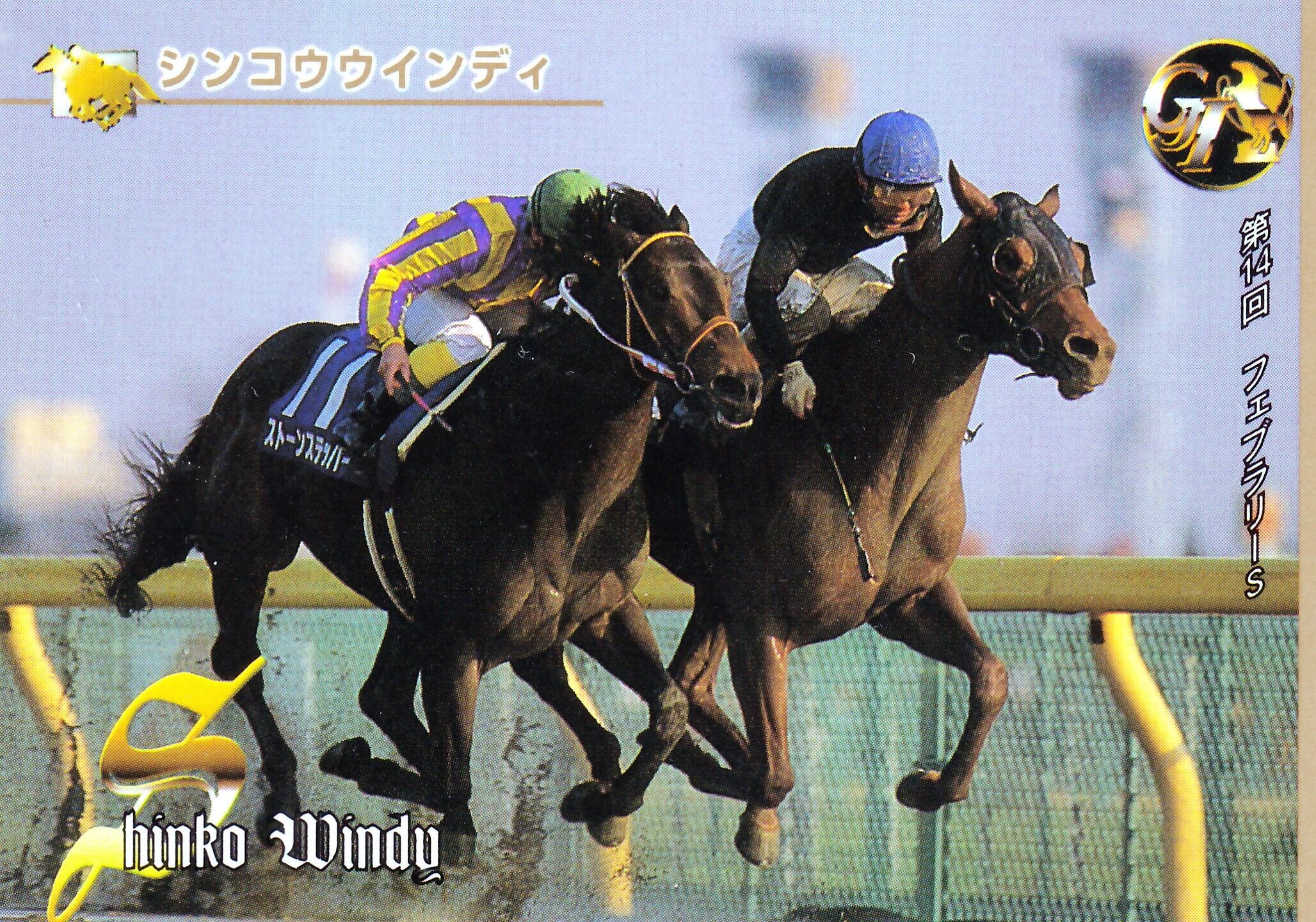 シンコウウインディ 第14回 フェブラリーステークス 6人気 1着 【公式