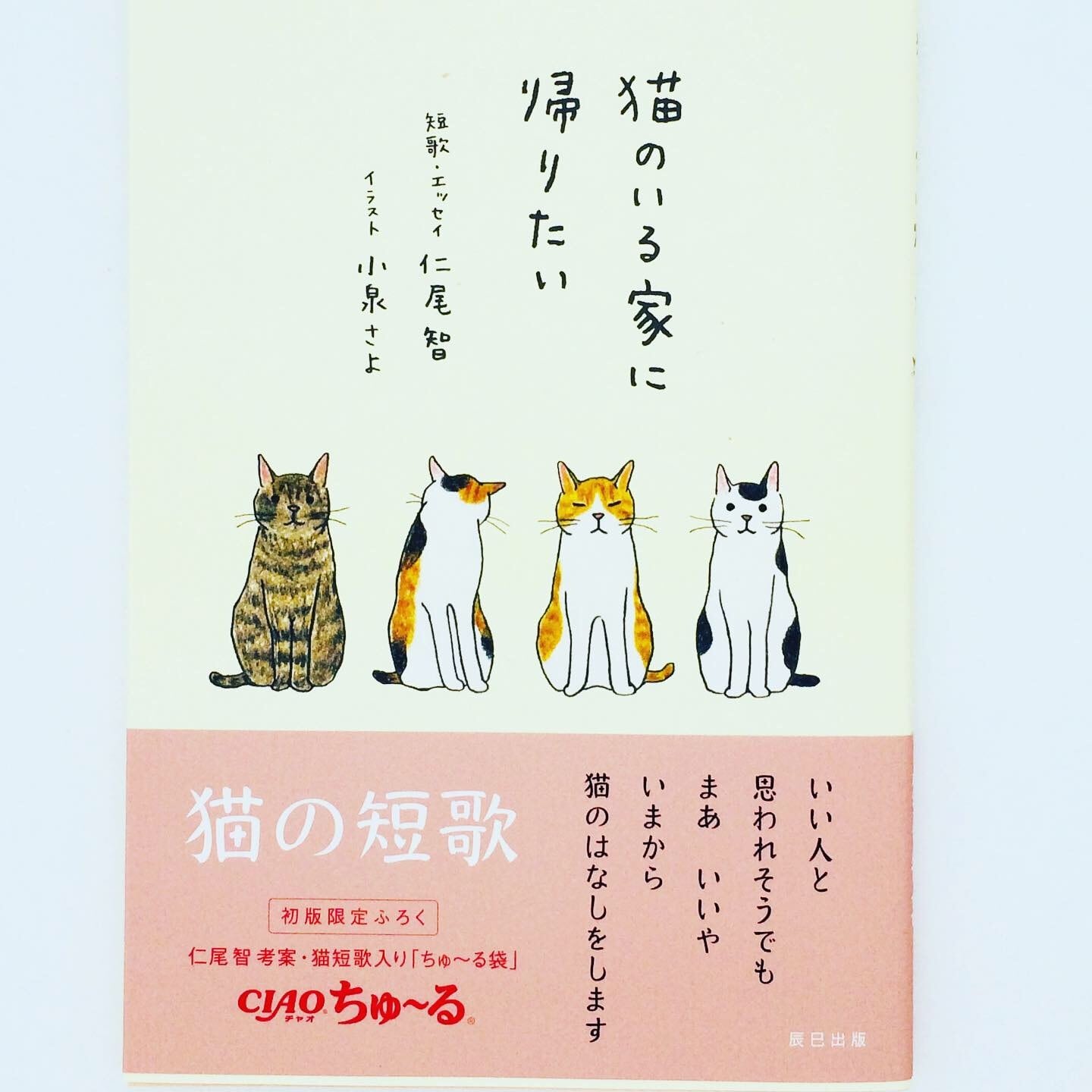 猫のいる家に帰りたい 猫歌人 仁尾智 イラスト 小泉さよ | いつもそば