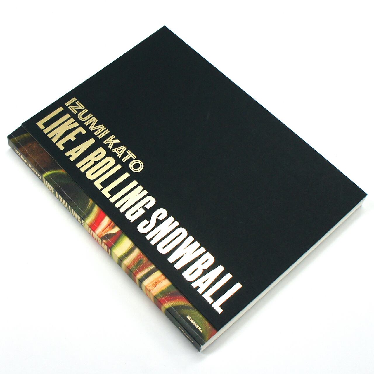 加藤泉のフライヤー 加藤泉のフライヤー IZUMI KATO LIKE A ROLLING SNOWBALL｜青幻