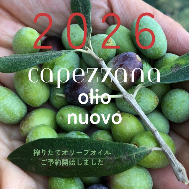 先行受注｜3本セット 2026年産搾りたてオリーブオイルCAPEZZANA 500ml